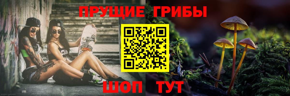 Галлюциногенные грибы мухоморы  Галлюциногенные грибы мухоморы  магазин  наркотиков  Вход с VPN  Гусев 